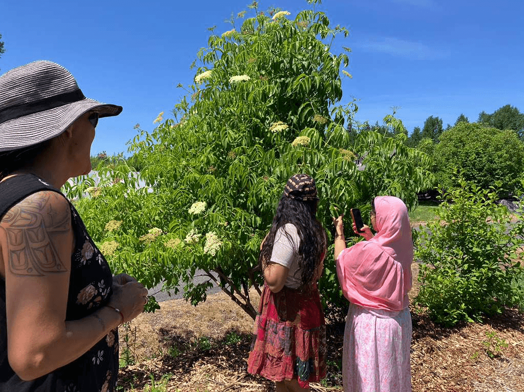 Elderberry connected to Melissa Meyers