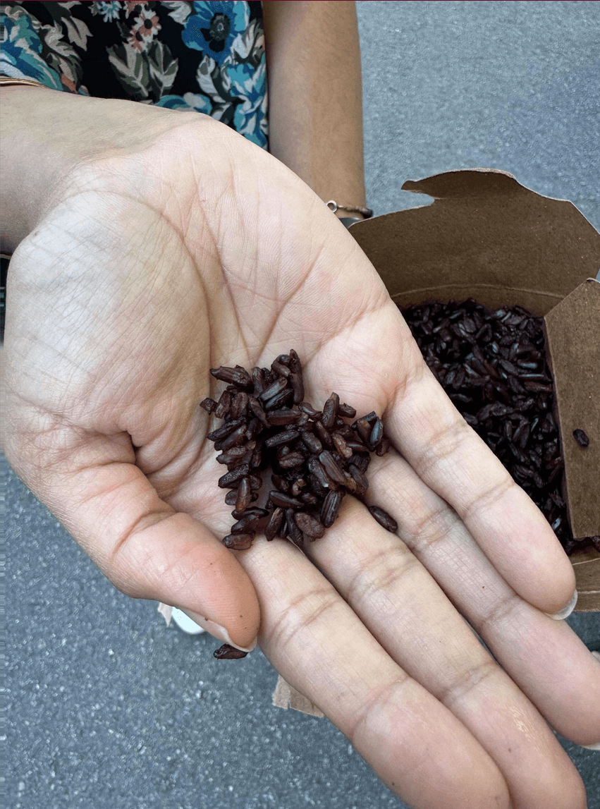 Purple Riceberry connected to Fon Spaulding and Nina Vichaypai